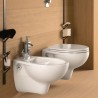 Deska sedesowa biała wazon WC łazienka sanitarna Geberit Colibrì Sprzedaż
