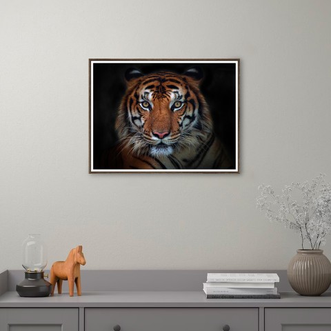 Wydruk obraz zdjęcie tygrysa zwierzęta rama 30x40cm Unika 0027