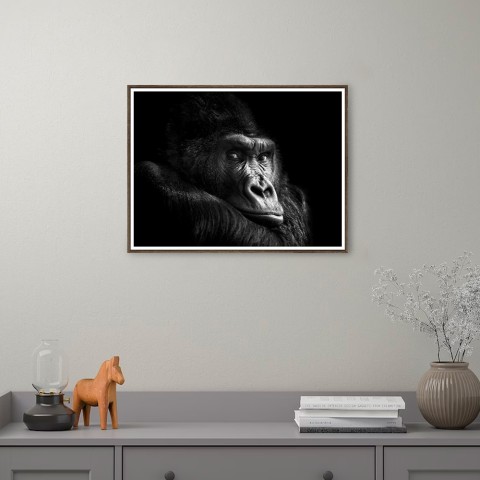 Gorilla fotografia wydruk obraz zwierzęta rama 30x40cm Unika 0026