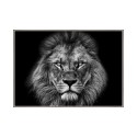 Czarno-biała ramka na zdjęcie lwa 70x100cm Unika 0028 Sprzedaż