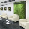 Zdjęcia roślin stabilizowane 4 60x40cm panele GreenBox Kit Lichene 