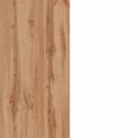 Mobilna osłona do zabudowy lodówki 2-drzwiowy kontener, kuchnia 60x60x164,5h Halser 