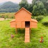 Kurnik domek dla kur wysoki drewniany do ogrodu 370x174x172 Hegg Sprzedaż