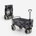 Wózek plażowy z możliwością złożenia i szerokimi oponami model Dory Oferta