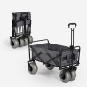 Wózek plażowy z możliwością złożenia i szerokimi oponami model Dory Oferta