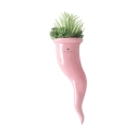Sukulenty w ceramicznej doniczce Paola Rolando Partenope. Sprzedaż