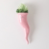 Sukulenty w ceramicznej doniczce Paola Rolando Partenope. Oferta