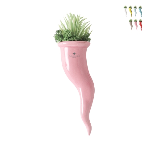 Sukulenty w ceramicznej doniczce Paola Rolando Partenope. Promocja