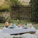 Sansevieria w szklanej doniczce do wnętrz Paola Rolando Hope Sprzedaż