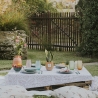 Sansevieria w szklanej doniczce do wnętrz Paola Rolando Hope Sprzedaż