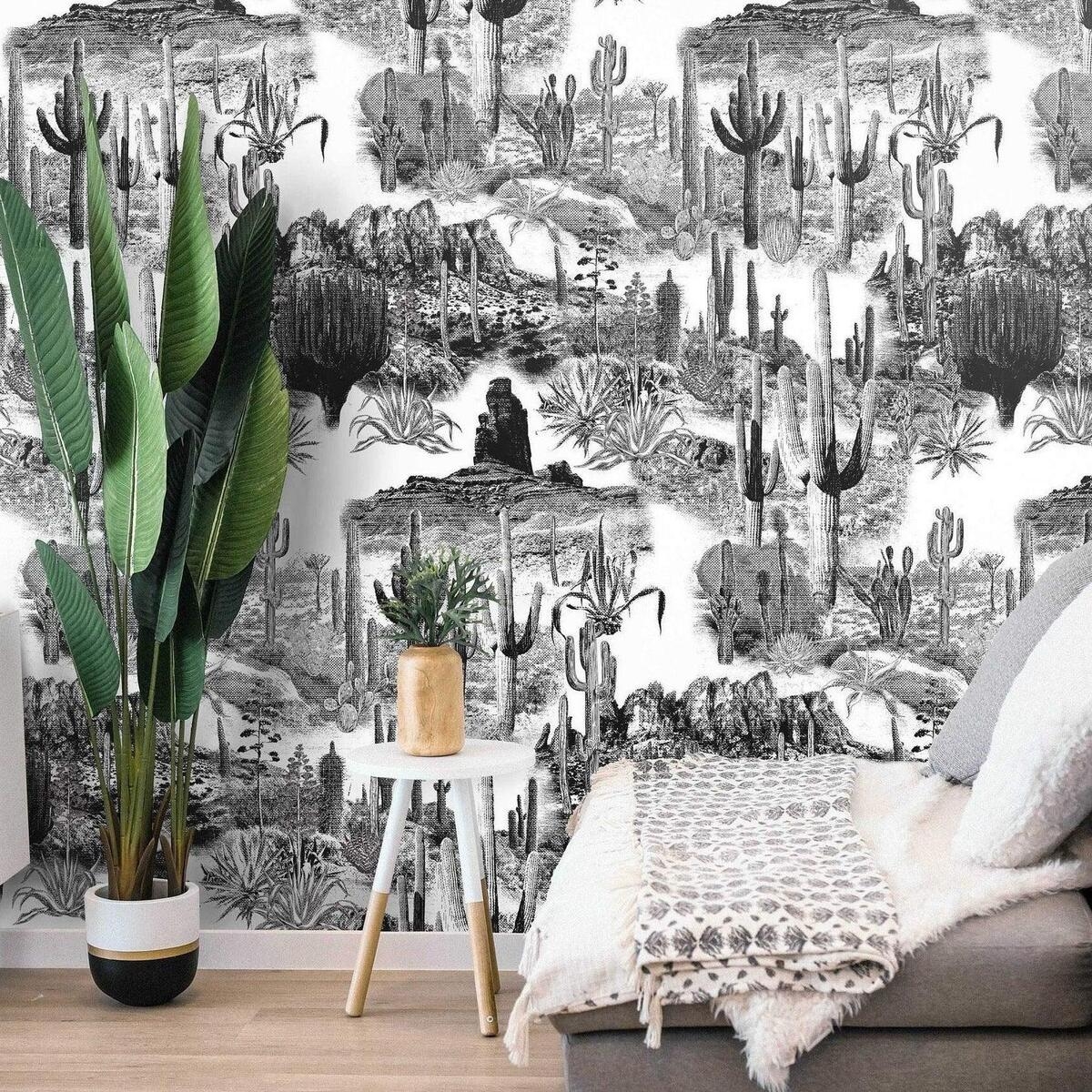 Nowoczesna biała i czarna tapeta samoprzylepna Cactus do salonu Promocja Nowoczesna biała i czarna tapeta samoprzylepna Cactus do salonu Promocja