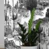 Nowoczesna biała i czarna tapeta samoprzylepna Cactus do salonu Sprzedaż