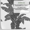 Tapeta urban jungle białe i szare rośliny Egzotyczne Palmy Oferta