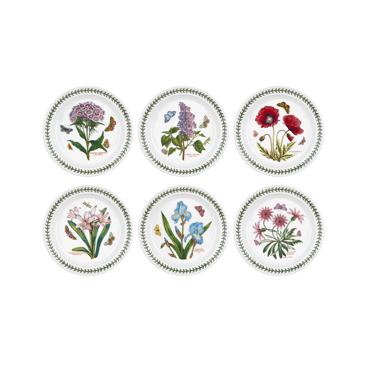 Zestaw 6 talerzy płaskich 20 cm z porcelany Portmeirion Botanic Garden Promocja Zestaw 6 talerzy płaskich 20 cm z porcelany Portmeirion Botanic Garden Promocja