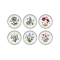 Zestaw 6 talerzy płaskich 20 cm z porcelany Portmeirion Botanic Garden Promocja
