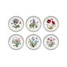 Zestaw 6 talerzy płaskich 20 cm z porcelany Portmeirion Botanic Garden Promocja