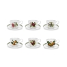 Komplet 6 filiżanek do herbaty z porcelanowym spodkiem Portmeirion Pomona Promocja