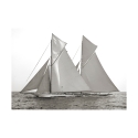 Czarno-biały wydruk na płótnie żaglówka Columbia & Shamrock 1901 Oferta