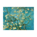 Obraz na płótnie impresjonizm Migdałowiec w kwiecie Vincent van Gogh Oferta