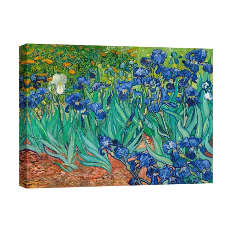 Druk na płótnie obraz impresjonistyczny Iris Vincent van Gogh Promocja