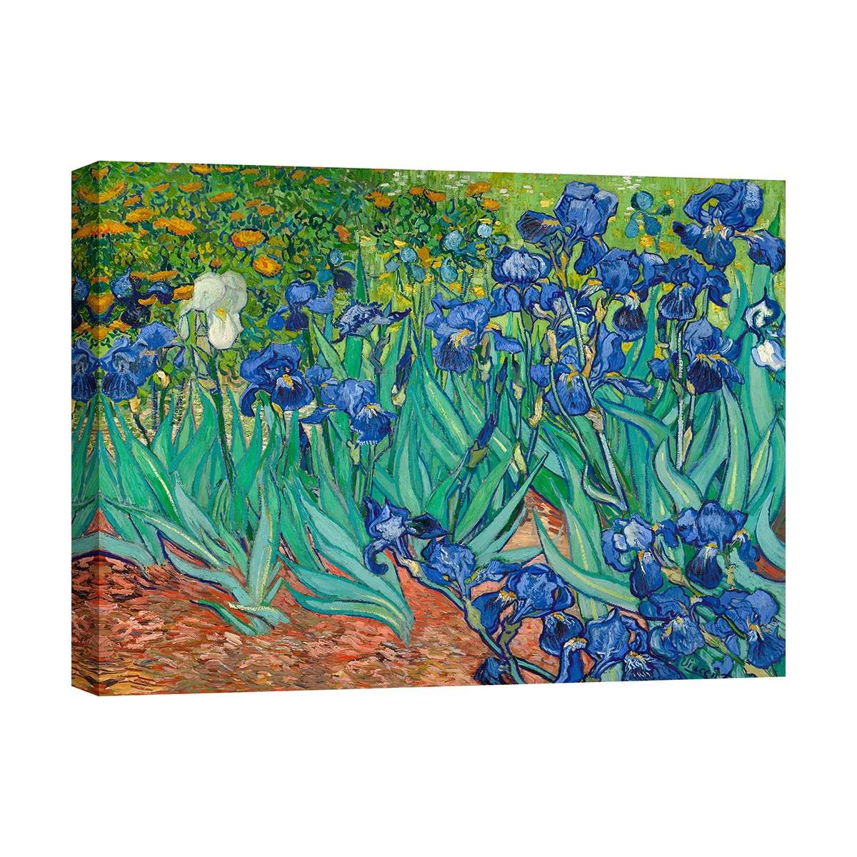 Druk na płótnie obraz impresjonistyczny Iris Vincent van Gogh Promocja Druk na płótnie obraz impresjonistyczny Iris Vincent van Gogh Promocja