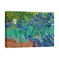 Druk na płótnie obraz impresjonistyczny Iris Vincent van Gogh Promocja