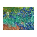 Druk na płótnie obraz impresjonistyczny Iris Vincent van Gogh Oferta