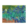 Druk na płótnie obraz impresjonistyczny Iris Vincent van Gogh Oferta