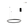 Lampa wisząca LED okrągła minimalistyczna 80cm Hoop Promocja