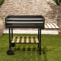 Grill węglowy z regulowanymi wysokością rusztami i kołami Braska Oferta