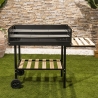 Grill węglowy z regulowanymi wysokością rusztami i kołami Braska Oferta