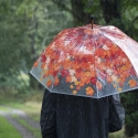 Parasol z motywem jesieni z drewnianą rączką Katalog