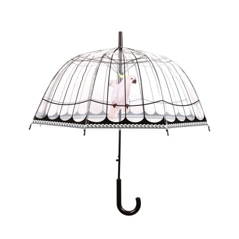 Przezroczysty parasol kopułowy dekoracyjny z papugą Promocja