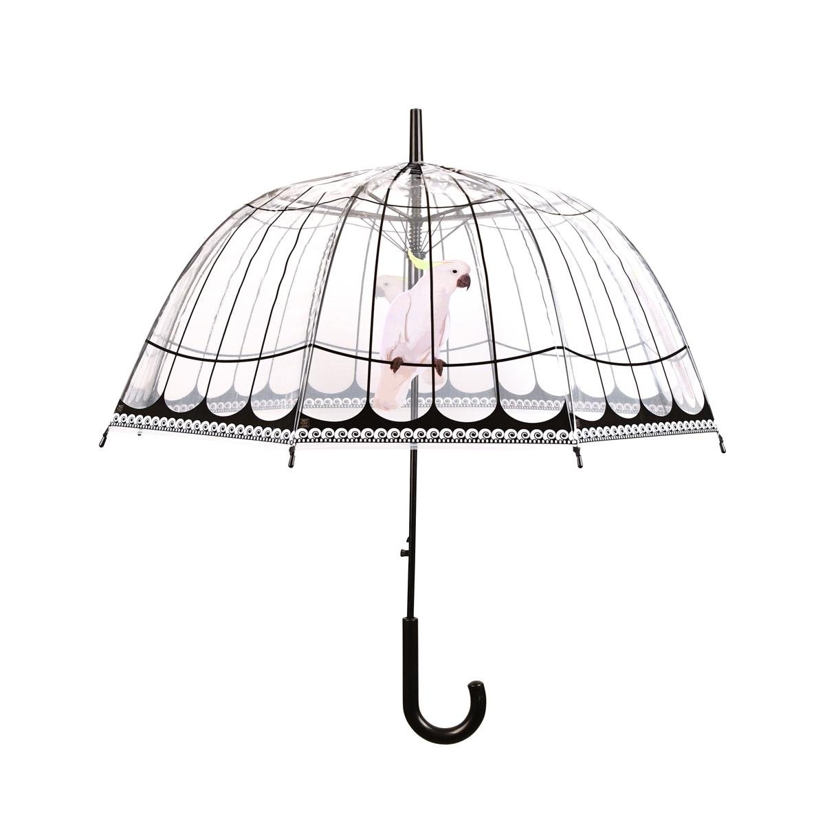 Przezroczysty parasol kopułowy dekoracyjny z papugą Promocja Przezroczysty parasol kopułowy dekoracyjny z papugą Promocja