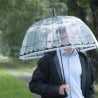 Przezroczysty parasol kopułowy dekoracyjny z papugą Sprzedaż