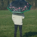 Parasol z tulipanami zmieniającymi kolor pod deszczem Sprzedaż