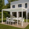 Pergola bioklimatyczna 3x4m do ogrodu z aluminium ręcznie sterowana Trinidad Model