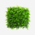 Sztuczny żywopłot 50x50cm sztuczna paprotka 3D ogród balkon Pritus Promocja