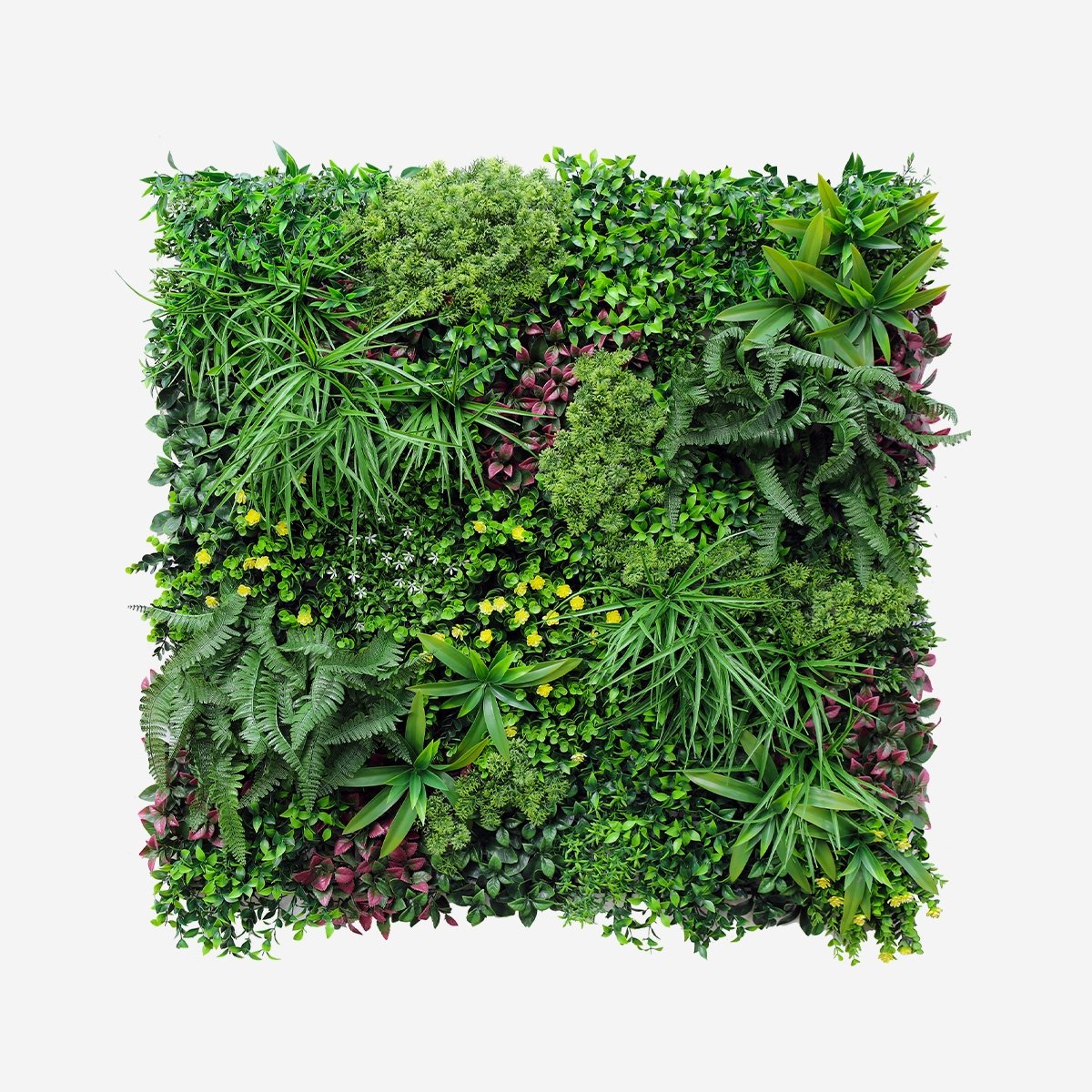 Sztuczny żywopłot 100x100cm realistyczne rośliny 3D na zewnątrz ogrodu Ilex Promocja Sztuczny żywopłot 100x100cm realistyczne rośliny 3D na zewnątrz ogrodu Ilex Promocja