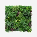 Sztuczny żywopłot 100x100cm realistyczne rośliny 3D na zewnątrz ogrodu Ilex Promocja