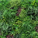 Sztuczny żywopłot 100x100cm realistyczne rośliny 3D na zewnątrz ogrodu Ilex Sprzedaż