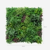 Sztuczny żywopłot 100x100cm realistyczne rośliny 3D na zewnątrz ogrodu Ilex Rabaty