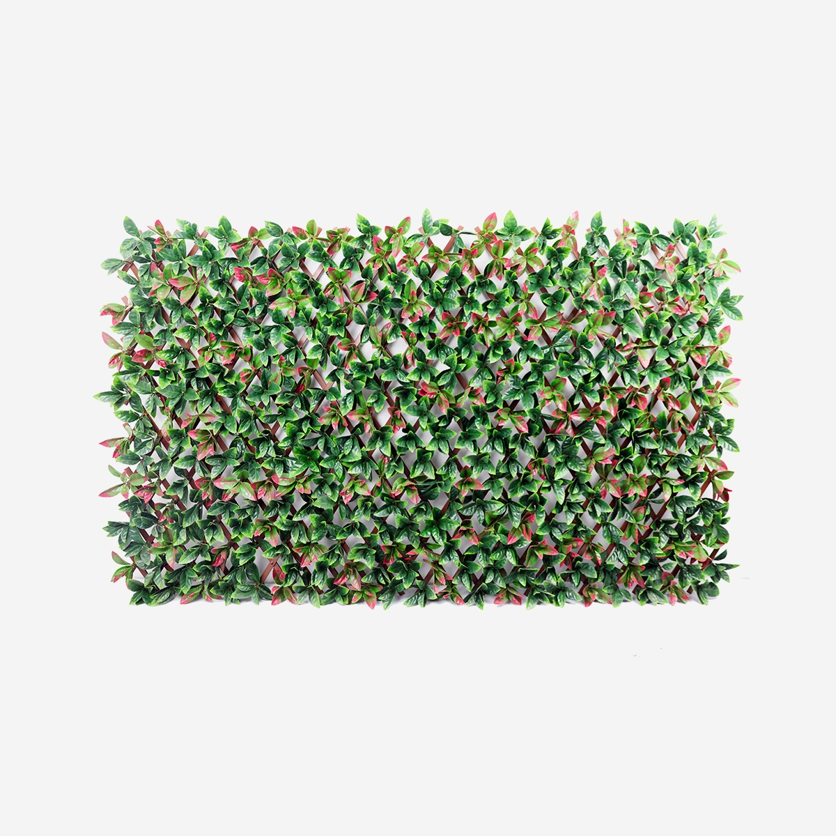 Sztuczny żywopłot 200x100cm głogownik photinia ogrodowa na rozciąganym stelażu Ivoss Promocja