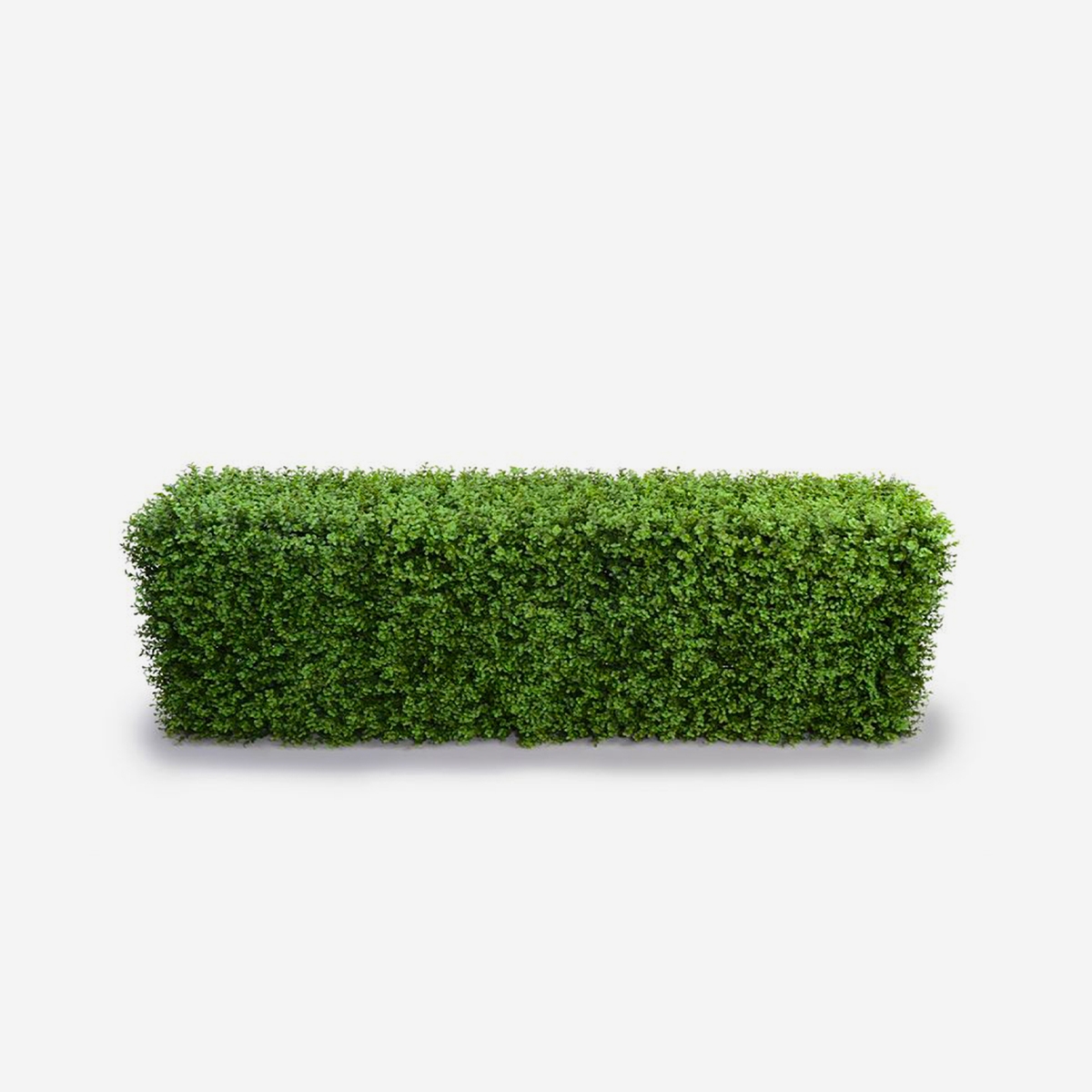 Sztuczny żywopłot imitacja bukszpanu niski 158x33x56cm Robuk Promocja