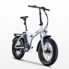 Elektryczny rower Ebike RSIII 250W Lithium Battery Shimano Stan Magazynowy