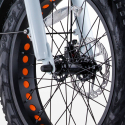 Elektryczny rower Ebike RSIII 250W Lithium Battery Shimano Środki