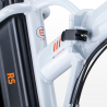 Elektryczny rower Ebike RSIII 250W Lithium Battery Shimano Cena