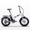 Elektryczny rower Ebike RSIII 250W Lithium Battery Shimano Katalog