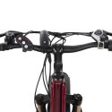 Elektryczny rower Ebike MTB 250W MT8 Shimano Stan Magazynowy