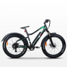 Elektryczny rower Ebike MTB 250W MT8 Shimano Sprzedaż